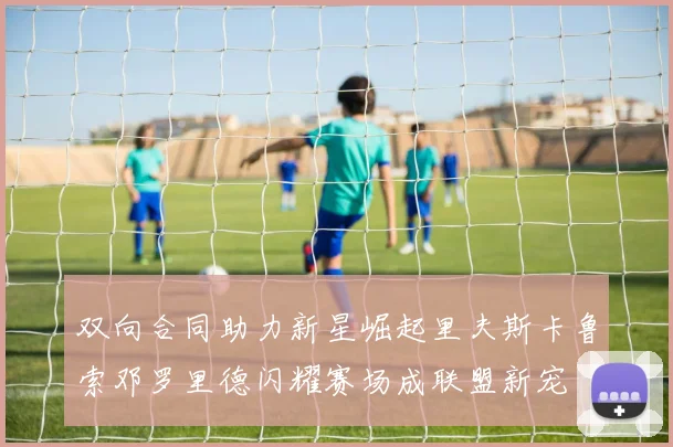 双向合同助力新星崛起里夫斯卡鲁索邓罗里德闪耀赛场成联盟新宠